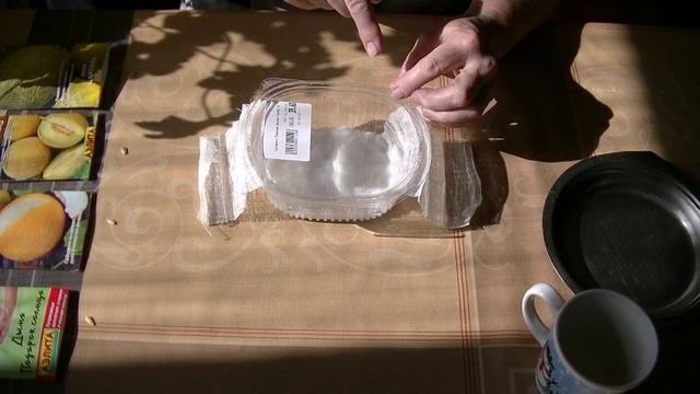Как правильно замочить семена. Опыт проращивания семян при отсутствии отопления. смотреть онлайн