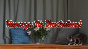 С 8 Мартом Дорогие Наши Женщины