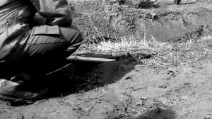 Нива и якорь для лебедки на Rainforest Challenge