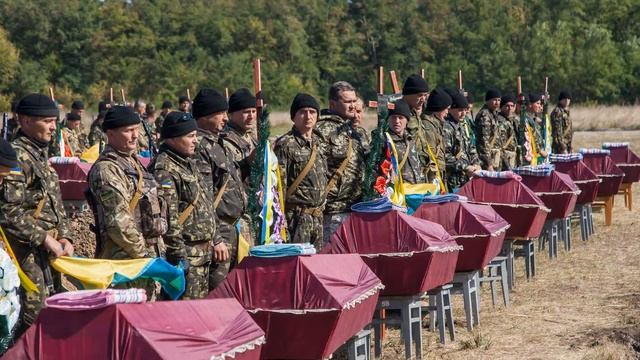 Не убивайте голубей - красота спасет мир смотреть онлайн