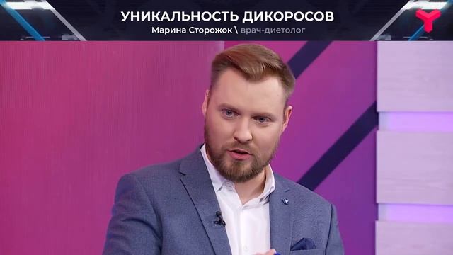 Чем лесные ягоды лучше садовых ? смотреть онлайн