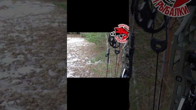 ТРИСТЕНД для охоты смотреть онлайн