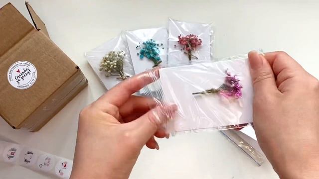 Набор открыток ручной работы из сухоцветов гипсофилы 5 шт смотреть онлайн