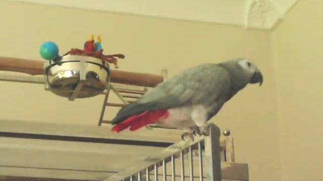 I see you baby! Shakin' That Ass смотреть онлайн