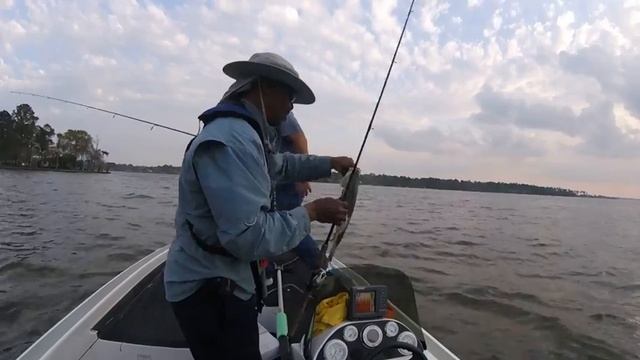 Hybrid Bass Fishing Lake Conroe On Hooked Up Fishing With Mike Webb смотреть онлайн