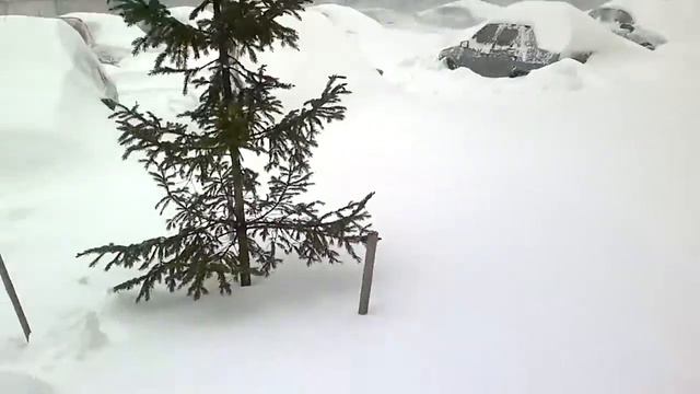 Погода в Киеве смотреть онлайн