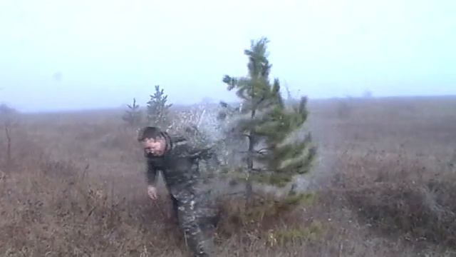 Рубит ногой ёлку. смотреть онлайн