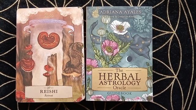 The Herbal Astrology Oracle flip through смотреть онлайн