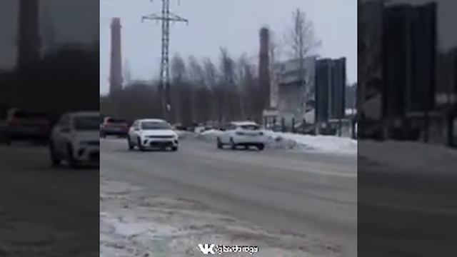 Медведь в Нижневартовске смотреть онлайн