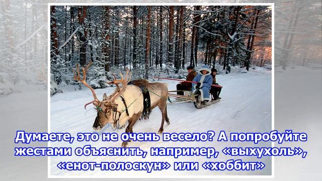Как развлечься в новый год: семь идей для тех, кто не любит спать перед телевизором смотреть онлайн
