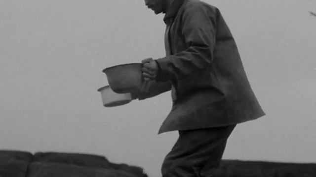 Утро начинается не с кофе | Маяк (The Lighthouse, 2019) смотреть онлайн