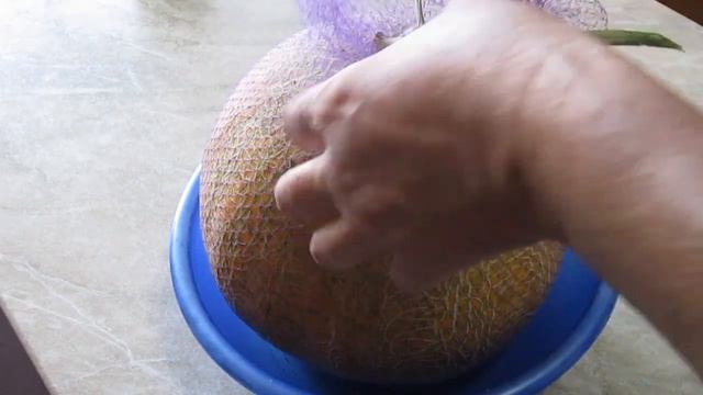 Дыня в гамаке! Результат порадовал! смотреть онлайн