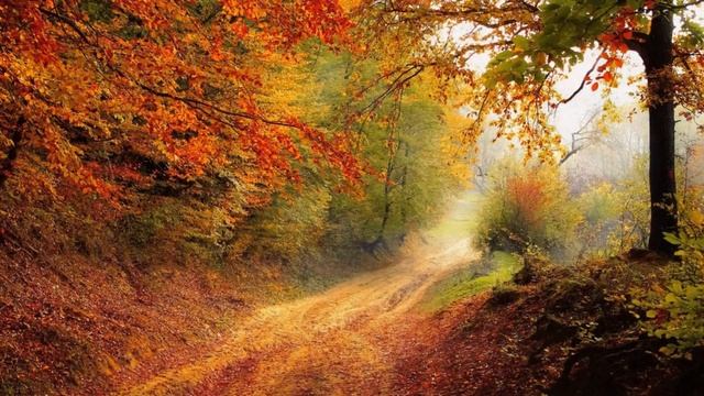 Nature Sounds - Autumn Forest/Звуки природы - Осенний лес смотреть онлайн