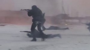 Полосатая натура