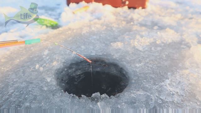 Новые секреты ловли щуки в декабре! Как наловить телегу щуки в декабре на жерлицы блесну и балансир смотреть онлайн