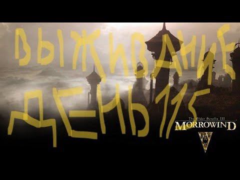 The Elder Scrolls III: Morrowind ВЫЖИВАНИЕ ДЕНЬ 115 смотреть онлайн