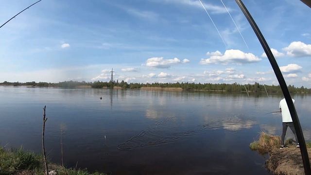 ПОЙМАЛ СВОЕГО ПЕРВОГО ЛЕЩА! ЧЕХОНЬ КЛЮЕТ НА ФИДЕР. РЫБАЛКА НА РЕКЕ. смотреть онлайн