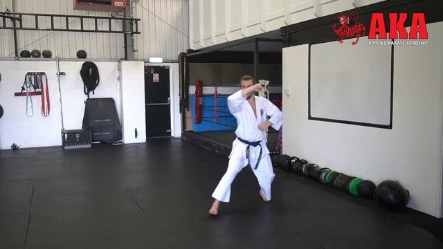 Heian Nidan Shotokan Kata Easy To Follow Instructional Video