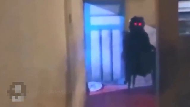 KAMERA TASVIRLARIGA TUSHIB QOLGAN RUHLAR VA JINLAR | Qiziqarli Fakt | Qo'rqinchli Videolar |