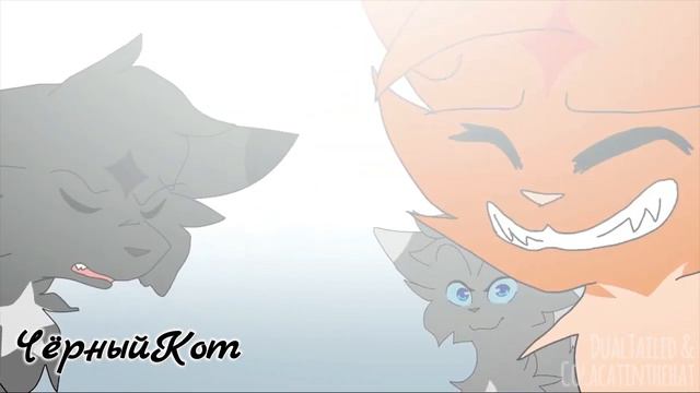 Коты Воители Остролистая, Воробей, Львиносвет - Клип Мы здесь не зря...(Заказ) смотреть онлайн