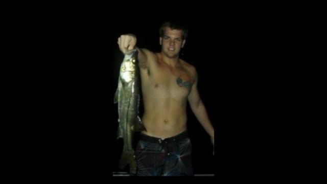 Matt Fox Tribute смотреть онлайн