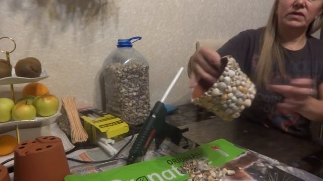 Комнатные цветы/растения. Декор горшков ракушками и улитками. Кашпо для цветов своими руками.