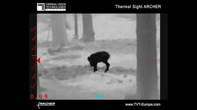 Thermal Sight Archer смотреть онлайн