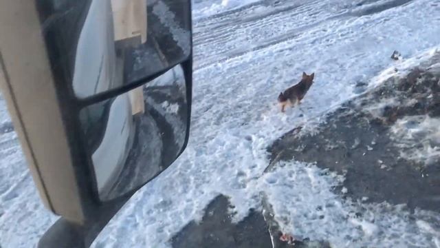 Работа в БТФ. Едем в столицу СИБИРИ. (часть первая) смотреть онлайн