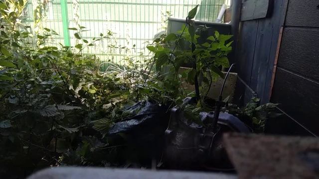 Güde GPS 3.6-1.5 LI-ION Akku Gartenpflegeset, funktion смотреть онлайн