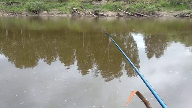 Ловля рыбы на р. Тара смотреть онлайн