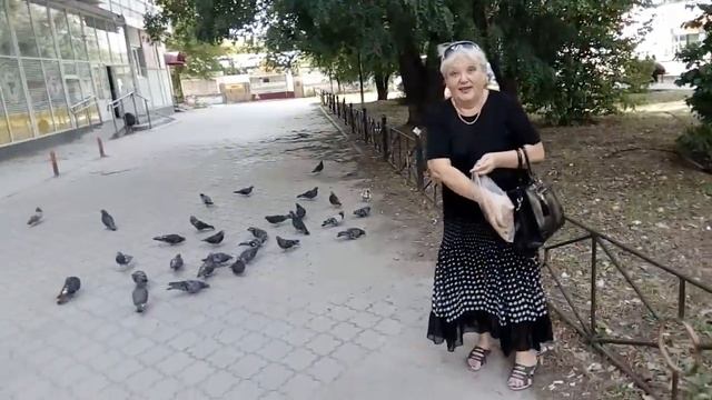 Всегда кормление голубей смотреть онлайн