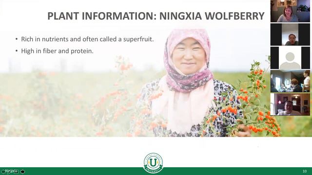 Thursday Night Live - NingXia Red смотреть онлайн
