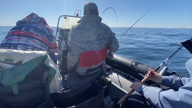 2/2. НЕЗАБЫВАЕМАЯ РЫБАЛКА. 50 кг трески за 4 часа. Балтийское море. смотреть онлайн