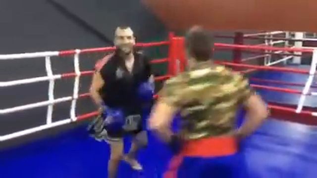 Бокс тренировка лапы смотреть онлайн