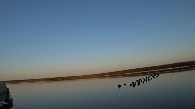 turpan duck hunting охота на турпана саха уола:; смотреть онлайн