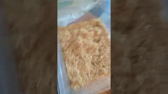 Приехала домой!!! 😮😛 смотреть онлайн