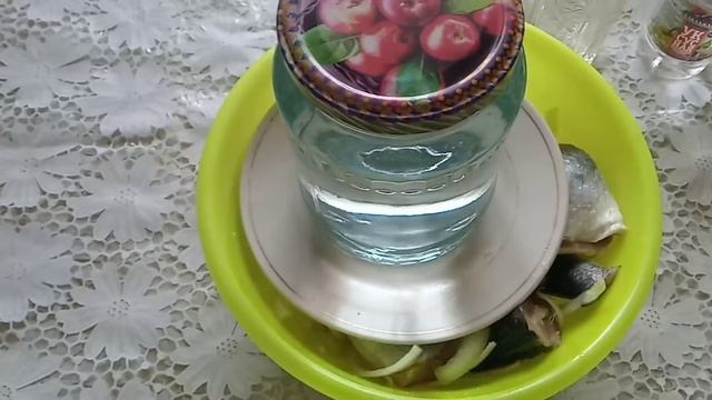 Сельдь под гнетом смотреть онлайн