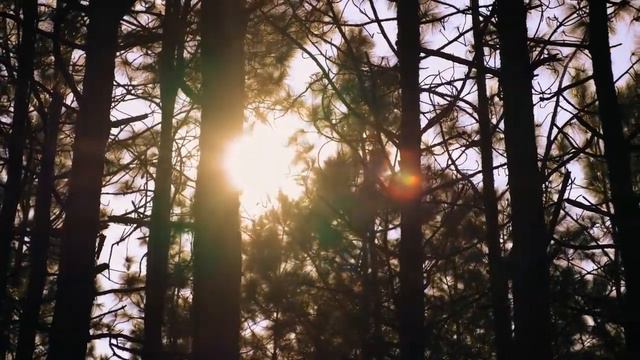 Это сон.Рассказы о любви.Интересные истории из жизни.Любовные истории. смотреть онлайн