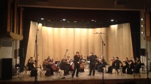 Сарасате Цыганские напевы - Алексей Кошванец