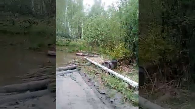 Nissan Terrano. Прохождение грязи. Месим грязь. смотреть онлайн