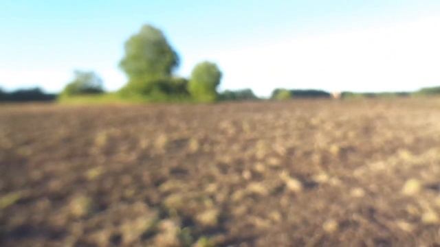 Поиск монет на поле смотреть онлайн