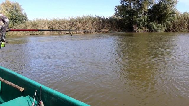 Рыбалка в Астрахани - ловля судака на джиг головки смотреть онлайн