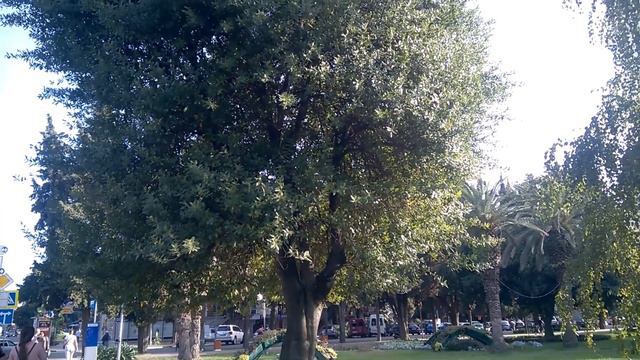 Прогулки по Адлеру. 07.10.2017 смотреть онлайн