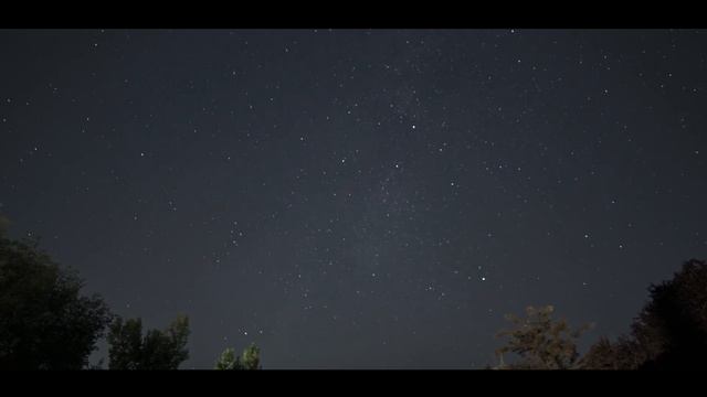 Nikon Z6 II Review 2023