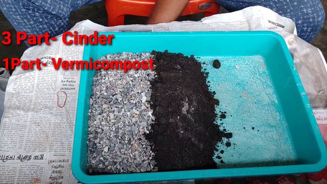 How To Make Adenium Soil Mix।।part-2(Cinder)।। অ্যাডেনিয়ামএর আদর্শ মাটি।। смотреть онлайн
