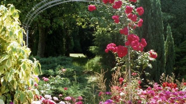 Модные грядки Розы смотреть онлайн