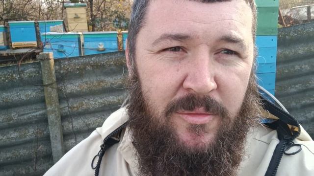 Канди, дотации малоимущим. смотреть онлайн