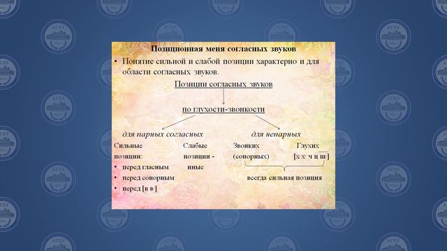 Селина Н П 30 10 лекция смотреть онлайн