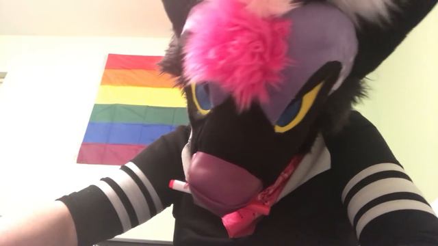 Fursuit ASMR ~ Visual, Tapping, No Talking ~ Shane Does Your Makeup