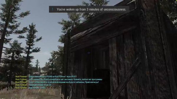 How to use a cheat 'Dizzy' for rust